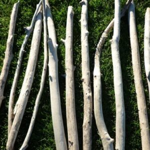 Branches de bois flotté