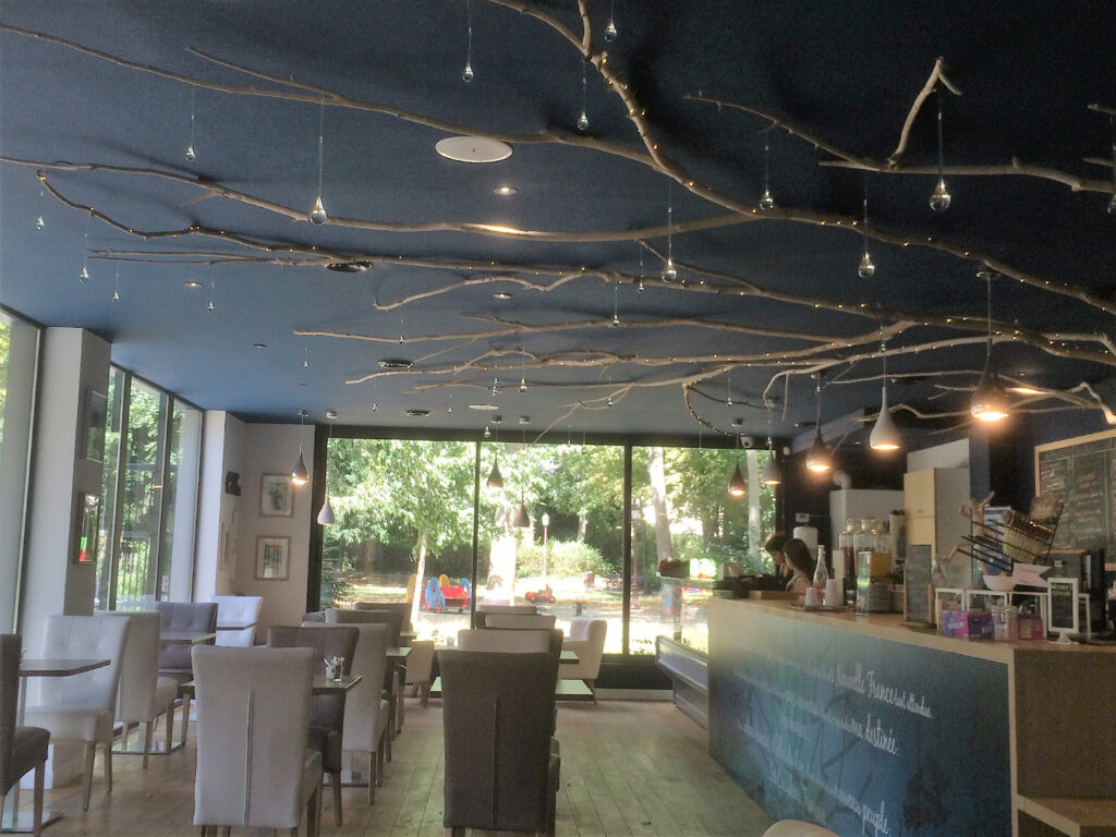 arbre en bois flotté chez Océan tree à Anthony