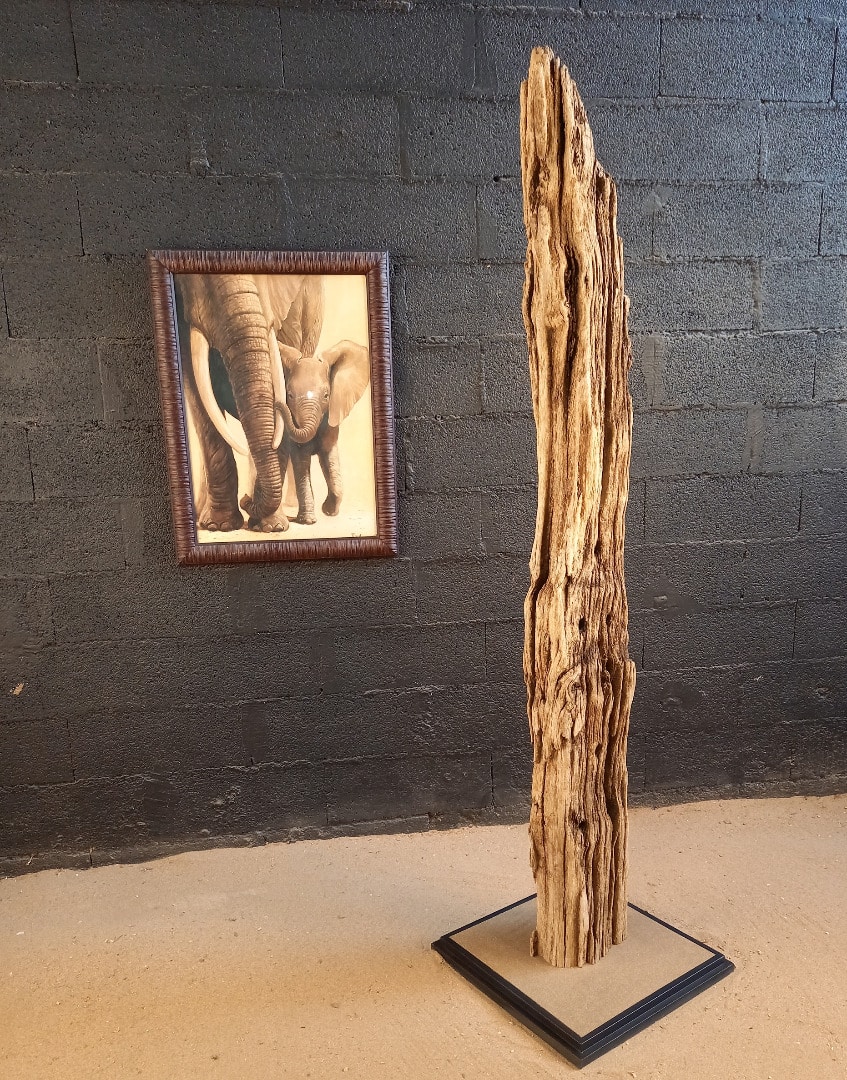 Sculpture en bois flotté 135 – Image 2