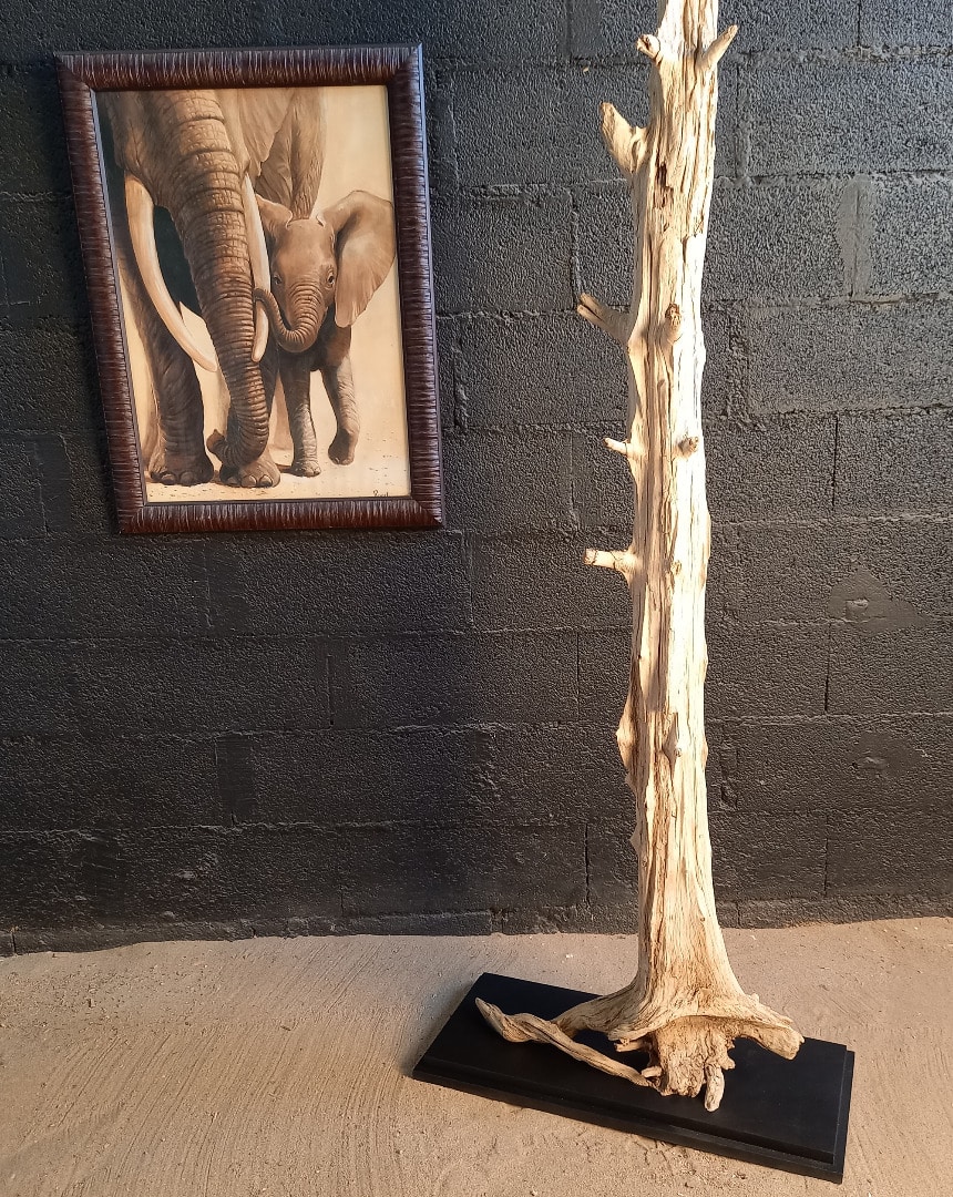 Sculpture en bois flotté 924 – Image 3