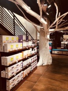 Un arbre en bois flotté chez Aroma Zone à Lyon