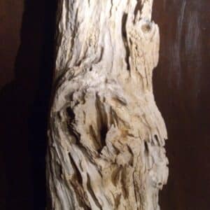 Création de sculpture en bois rongé