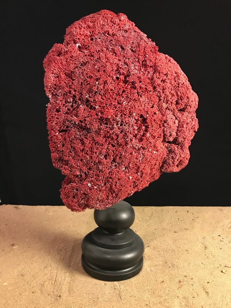Corail tubipora
