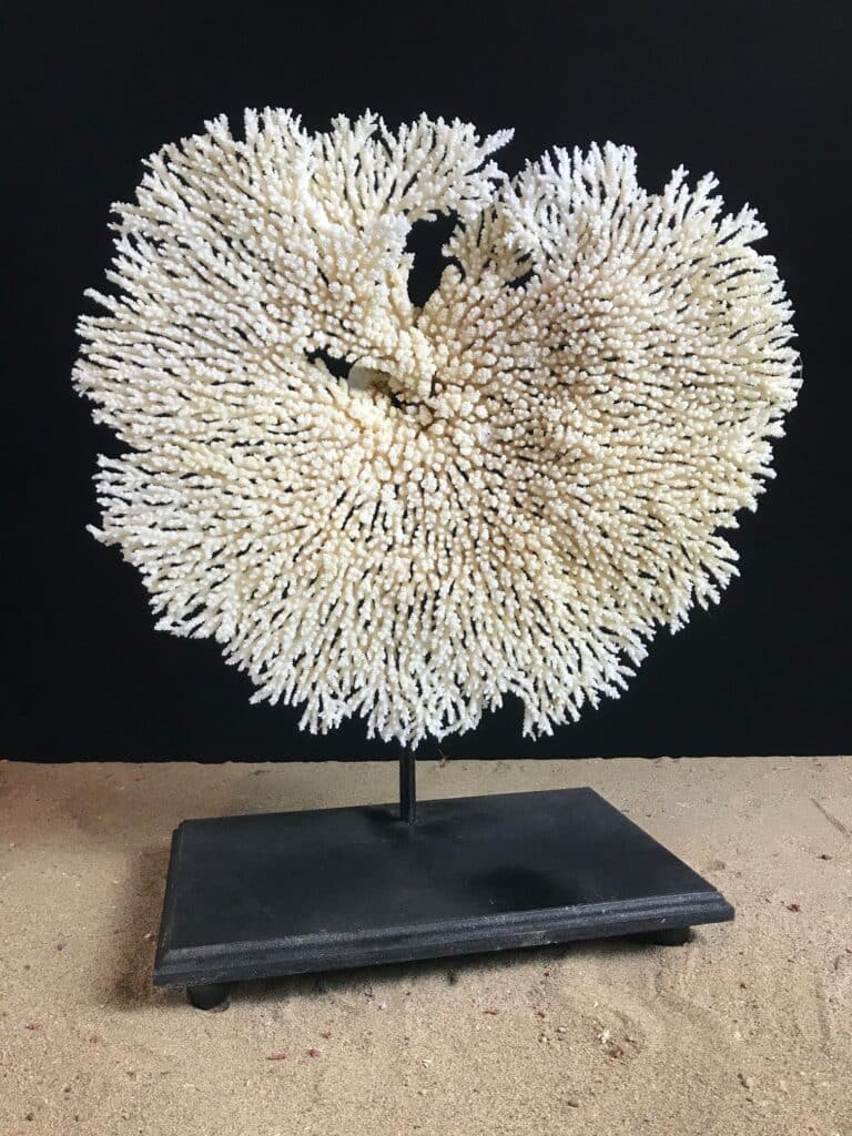 Corail table