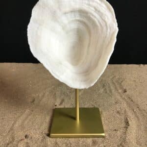 Création d'un corail bol sur socle