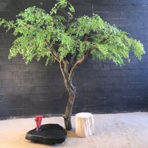 Création d'une table basse en chêne en bois brulé