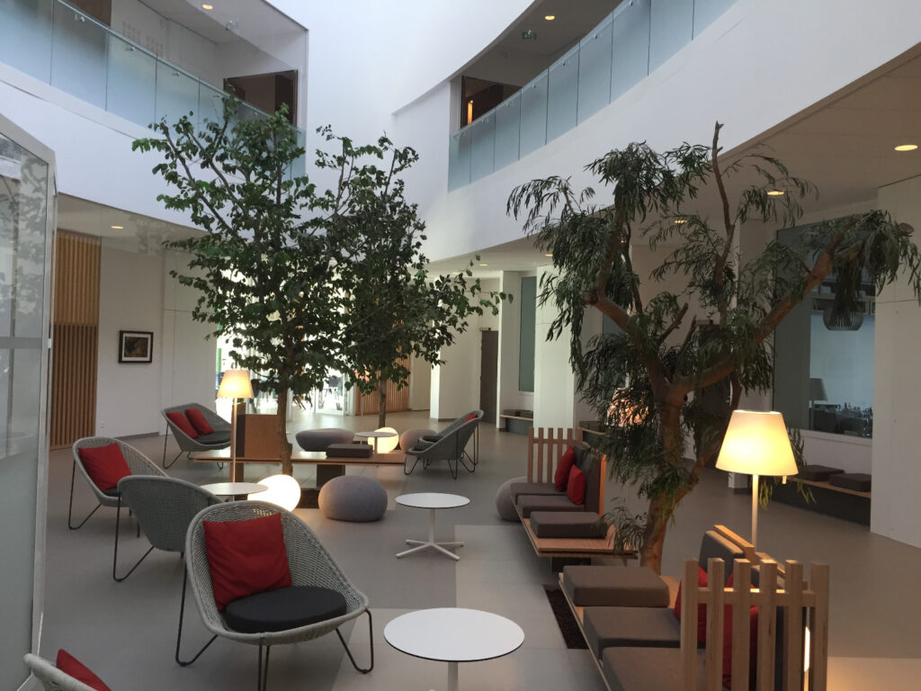 Réalisation d'un Eucalyptus en végétaux stabilisé pour un hotel