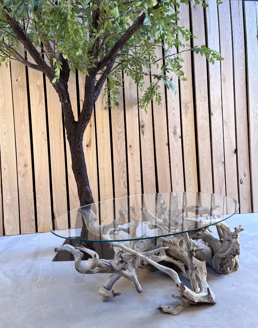 Création d'une table basse en racine africaine – Image 6