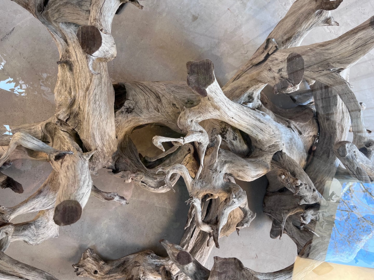 Création d'une table basse en racine africaine – Image 2