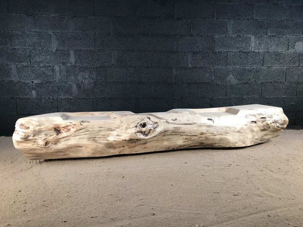 Banc dans un tronc en bois flotté