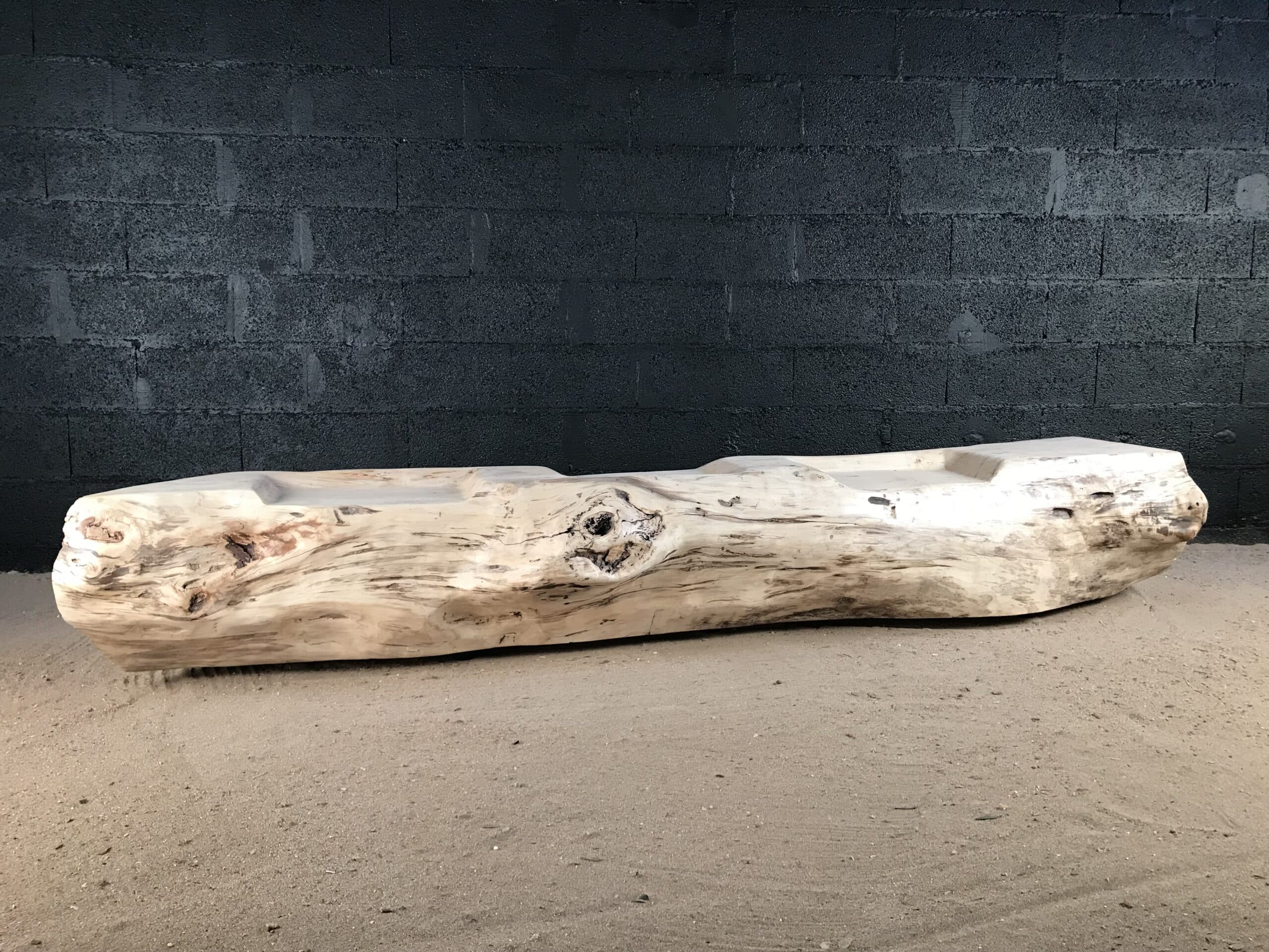 Banc dans un tronc en bois flotté