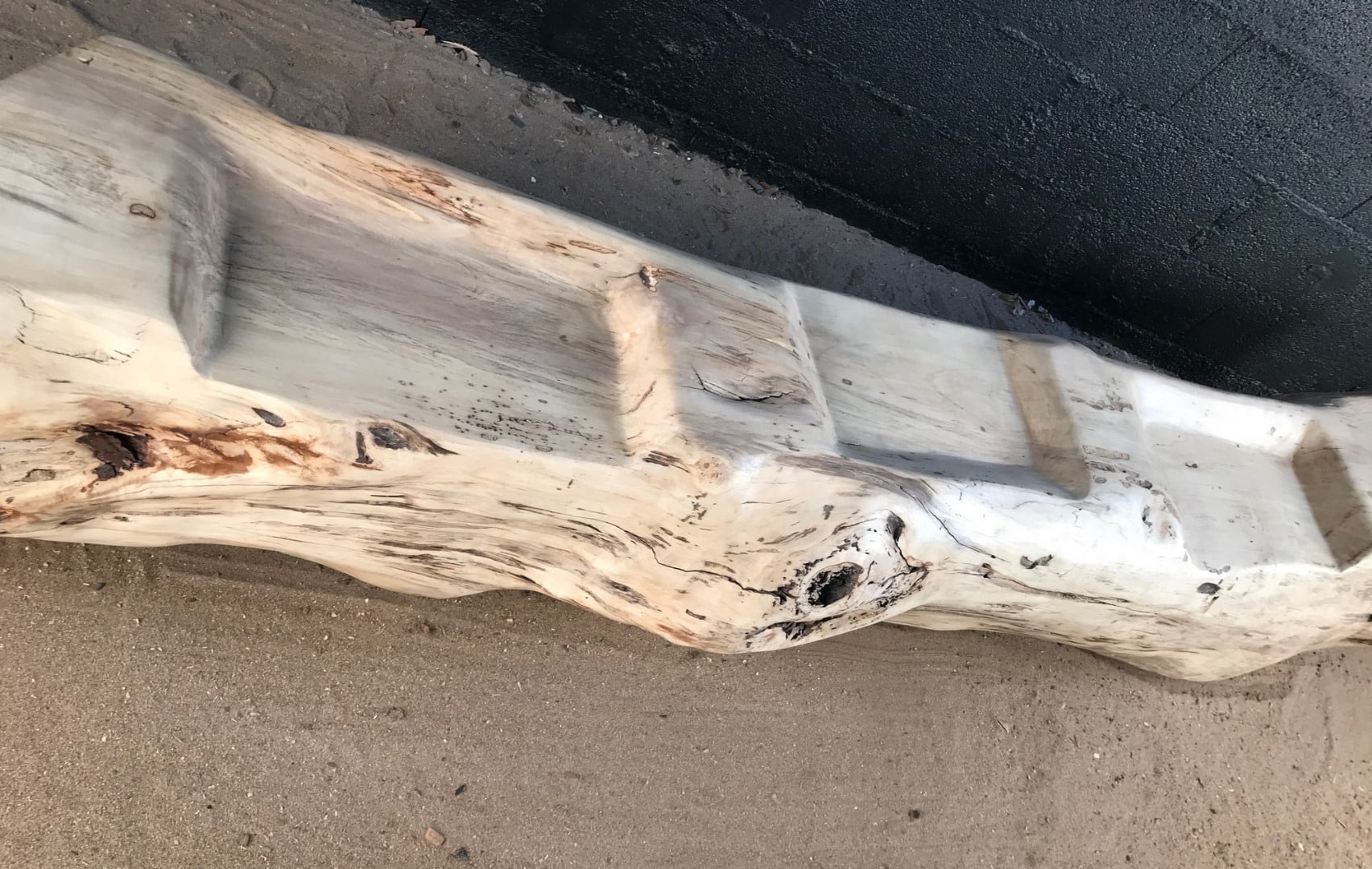 Banc dans un tronc en bois flotté – Image 2