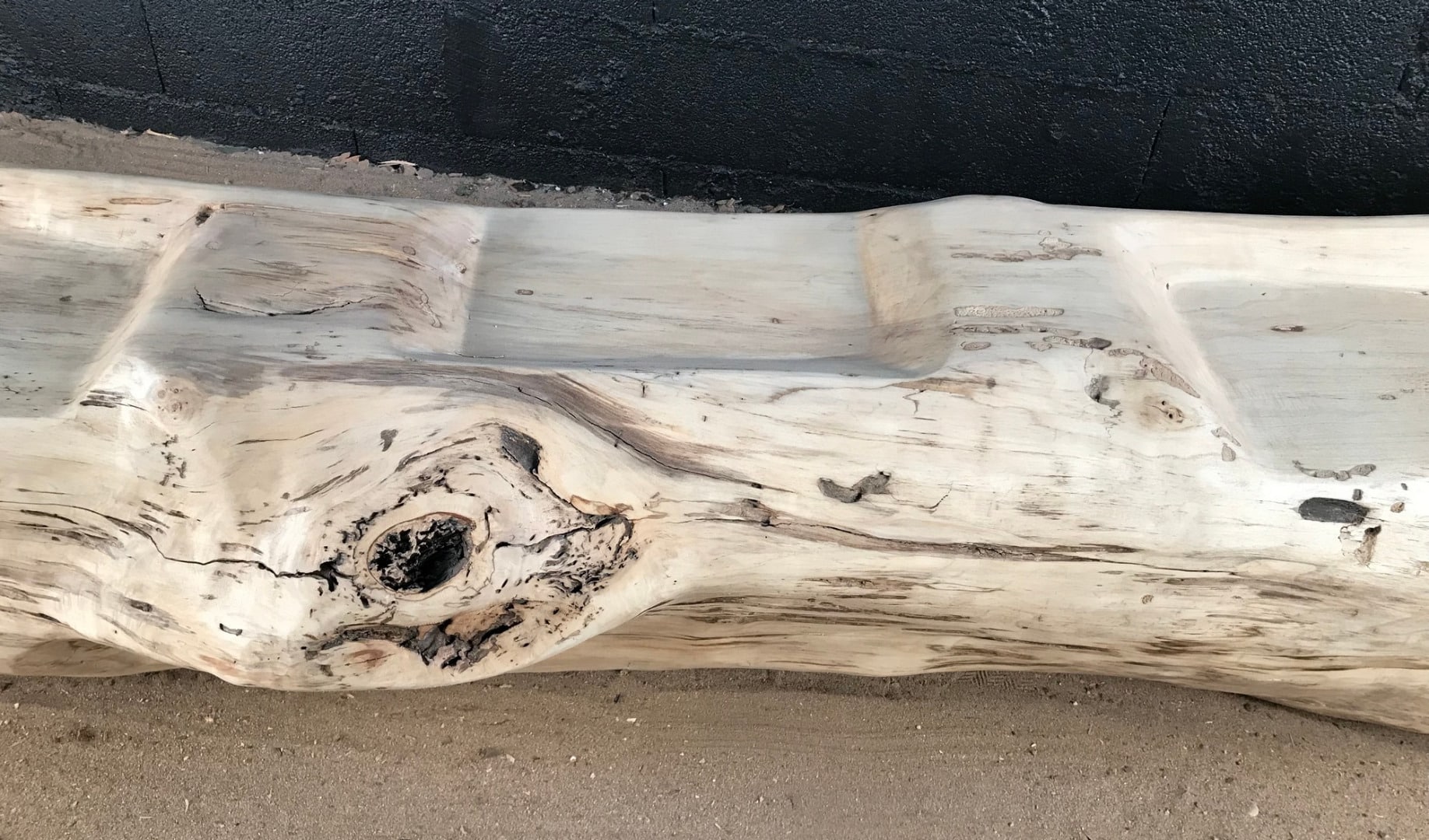 Banc dans un tronc en bois flotté – Image 3