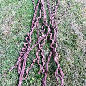 Vente de liane ondulée naturelle