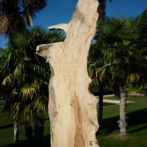 Création de sculpture en planche de bois flottant