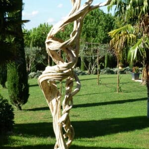 Vente de liane amazonienne