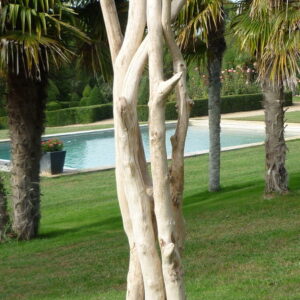 Création de sculpture de branches de bois flotté