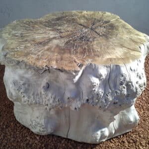 Création d'une table basse en bois flotté avec le plateau verni