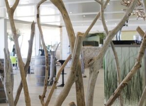 small-baia-web-10-613×448