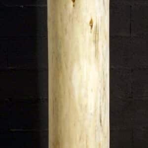 Vente de tronc en bois écorcé