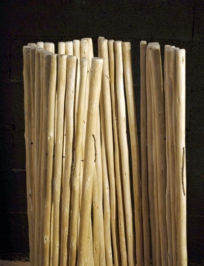 Branches de bois écorcées – Image 6