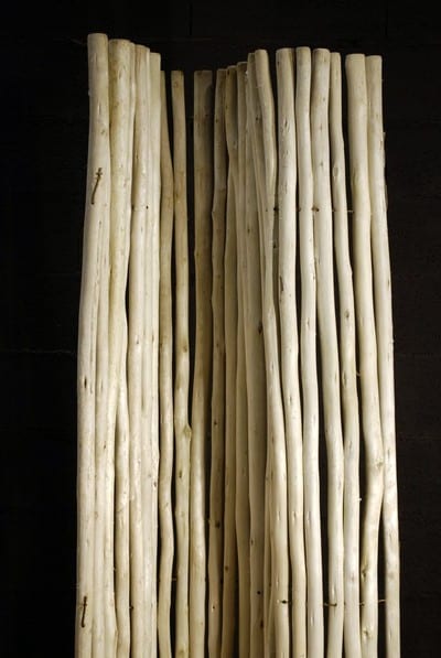 Branches de bois écorcées – Image 8