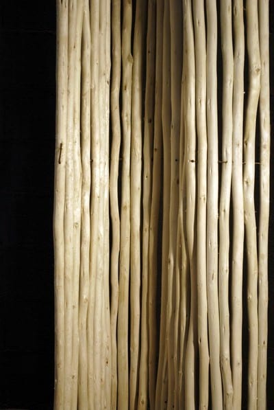 Branches de bois écorcées – Image 9