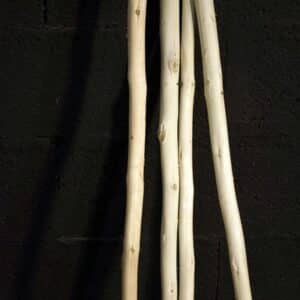 Branches de bois écorcées