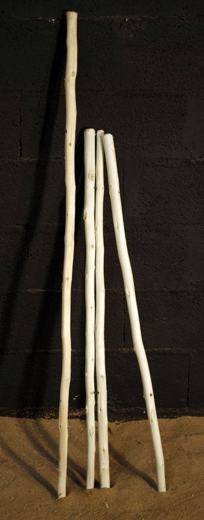 Branches de bois écorcées – Image 3