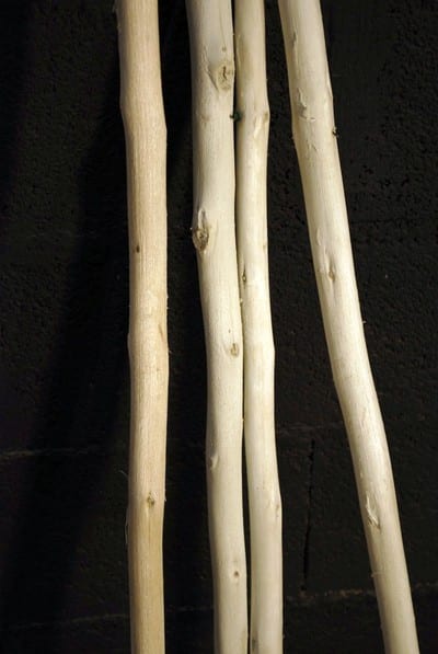 Branches de bois écorcées – Image 2