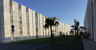 Décoration en bois flotté pour un restaurant