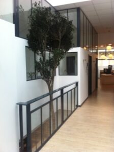 Réalisation d’Arbres stabilisés pour un cabinet dentaire