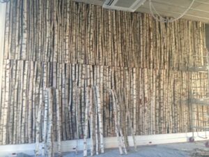 750 troncs de bouleaux pour recouvrir les murs d'une association