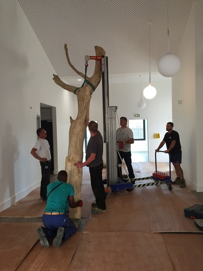 Arbre en bois flotté dans un centre de loisir