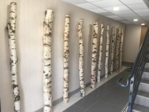 Décoration en troncs de bouleaux à Toulouse