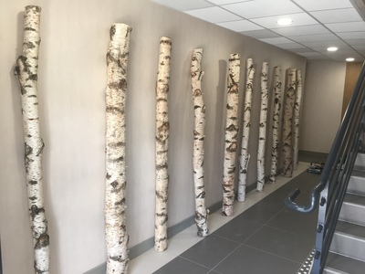 Décoration en troncs de bouleaux à Toulouse