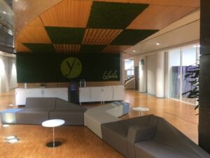 Mur en lichen stabilisé pour le conseil départemental des Yvelines