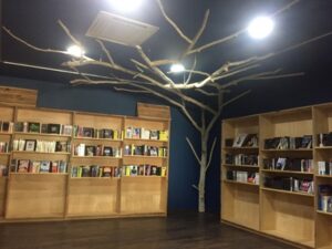 Un arbre en bois flotté dans une librairie