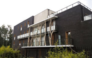 small-wp-20170630-15-45-07-pro