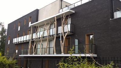 small-wp-20170630-15-45-12-pro