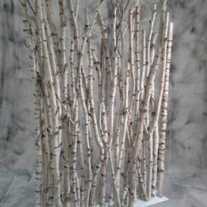 Création d'un paravent avec des petits troncs de bouleaux