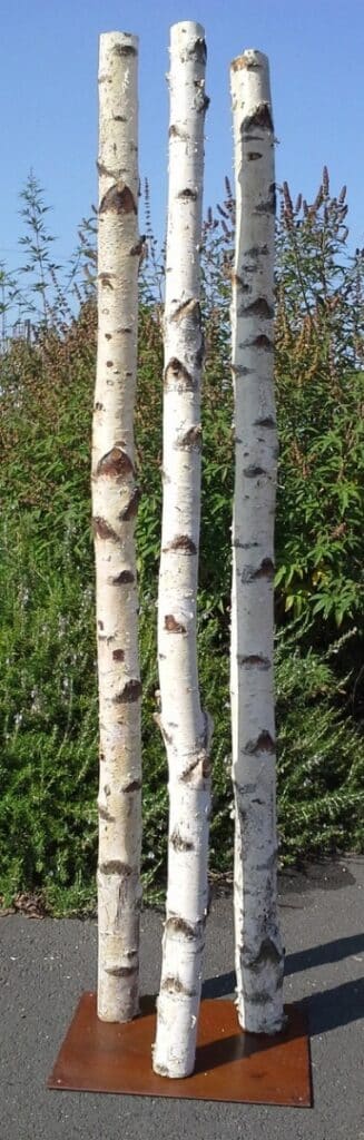 Colonne troncs de bouleau