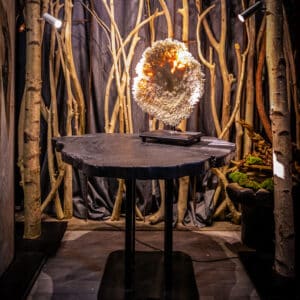 Création d'une table ronde en Dabema brulé