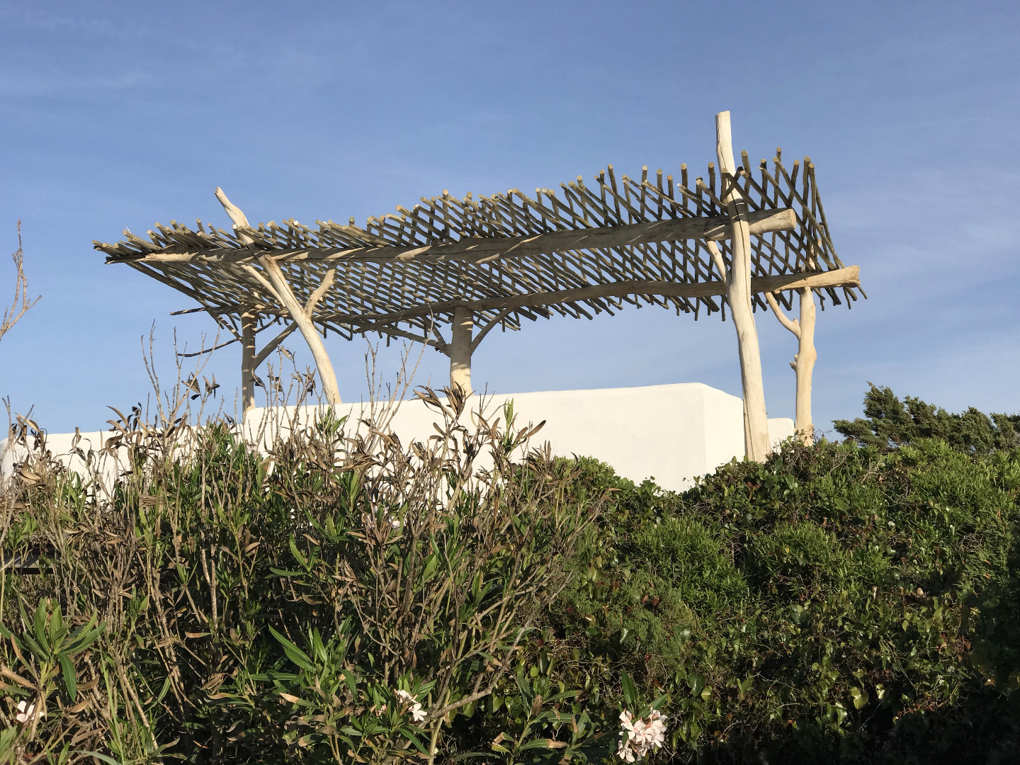 tcbswgktrhmpdvpjqh81gw