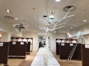 unadjustednonraw-thumb-1df