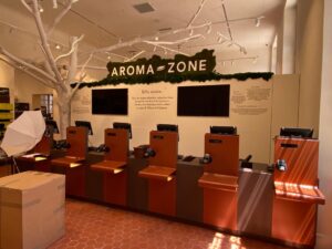 unadjustednonraw-thumb-d42