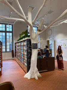 unadjustednonraw-thumb-d4d_1