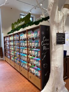 unadjustednonraw-thumb-d4e