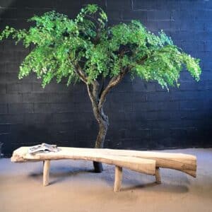 Banc dans un tronc en bois flotté sur pieds