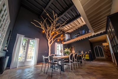 Arbre en bois flotté de 5m de hauteur dans une maison d'hotes à st Paul les 3 chateaux